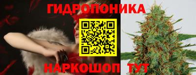 кокс Тара