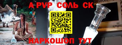 СК Тверь
