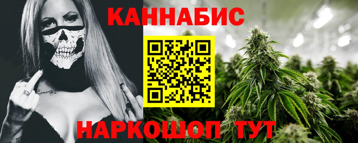 Канабис сатива Печора